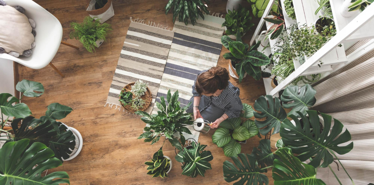 Rośliny do donic na tarasie – Najlepsze gatunki i aranżacje