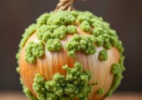 Zielona pleśń na cebuli