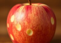 Oparzelizna powierzchniowa, czyli chłodniowa jabłek